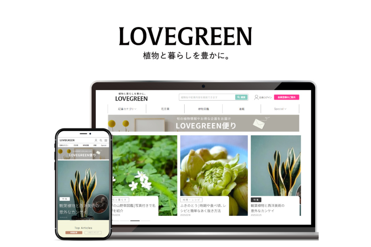 LOVEGREEN_仙台のi-Plain